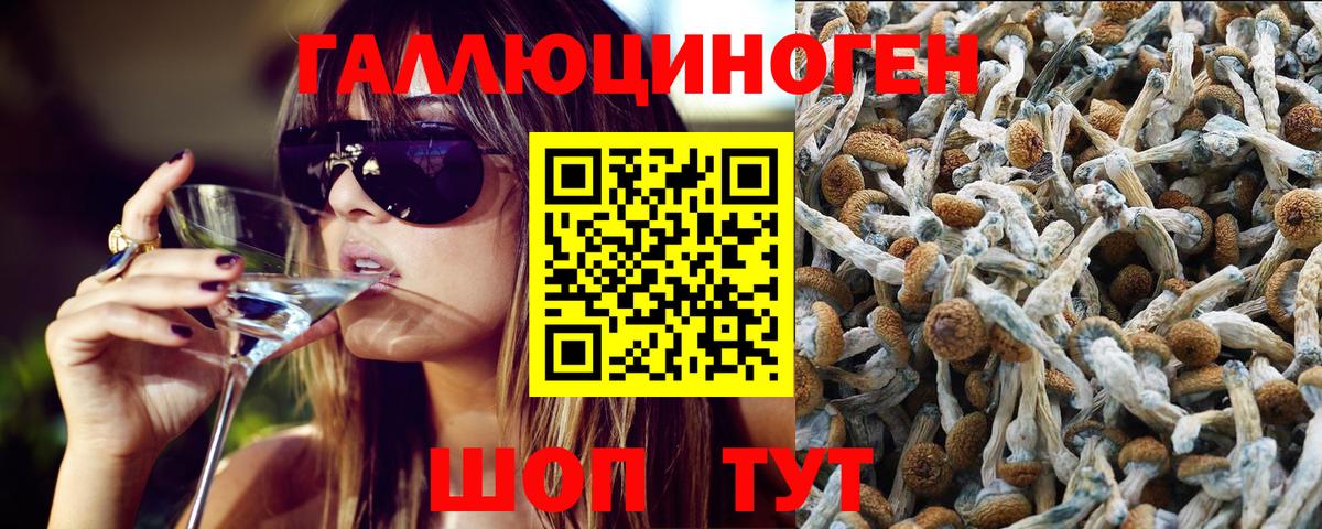 Псилоцибиновые грибы Cubensis  Псилоцибиновые грибы Psilocybine cubensis  Барабинск  Вход с VPN 